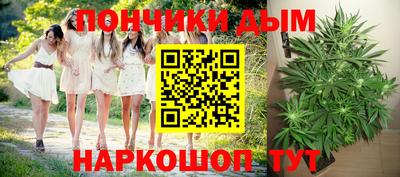 гидра Лесосибирск